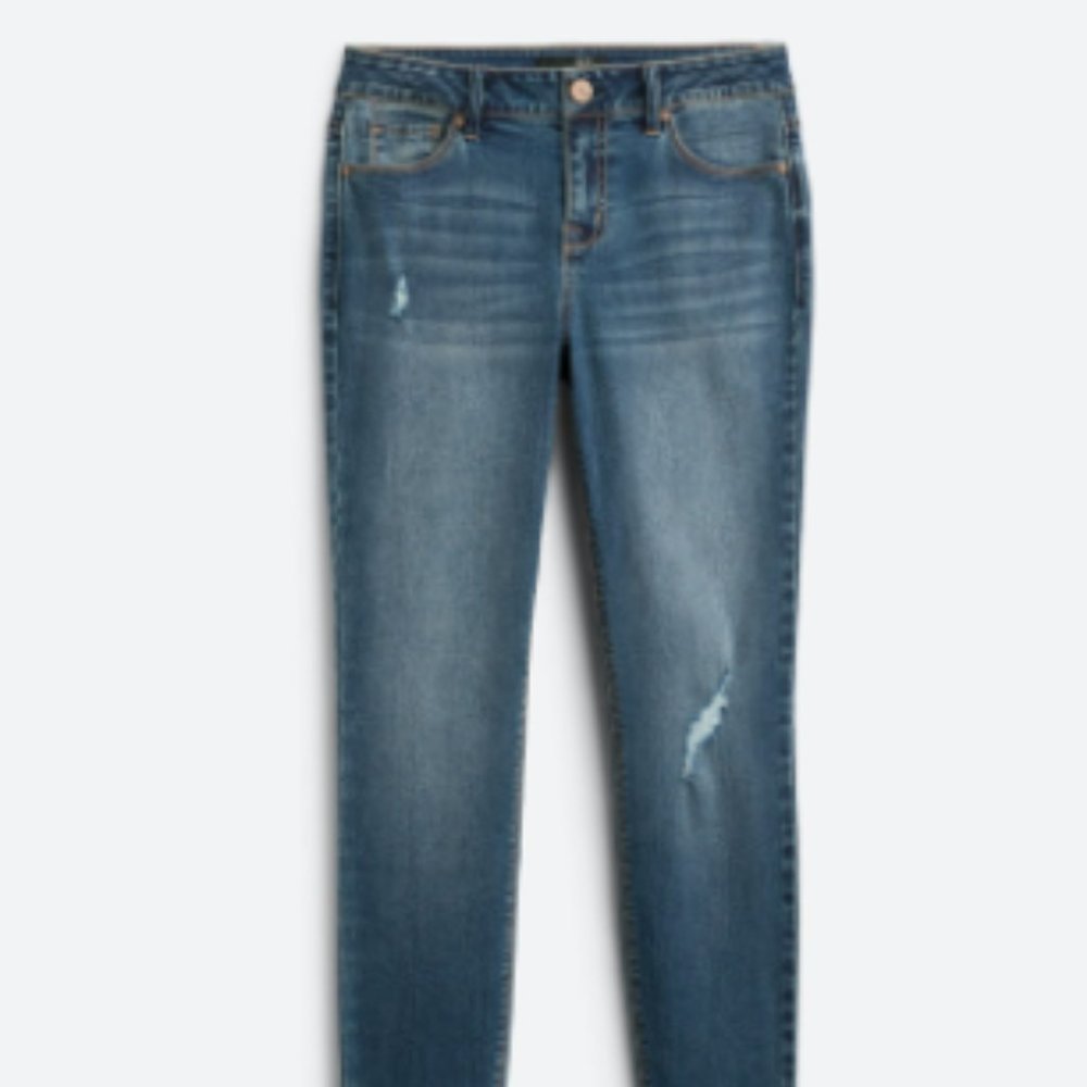 1822 Denim Catriona Tencel Distressed Skinny Jean - Size 16W